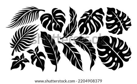 Tropical leaves set. Collection of exotic plants: Monstera, Rhopalostylis, Calathea, banana leaf. Botanical vector illustration.