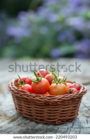 Cherry tomatoes in a small basket on an old wooden surface, space for text. Natural light, close up, selective focus, copy space.
