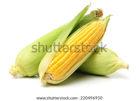 Corn on white background  Royalty-Free Stock Photo #220496950