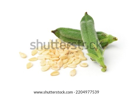 Close-up white sesame seeds with fresh pods isolated on white background.  Royalty-Free Stock Photo #2204977539