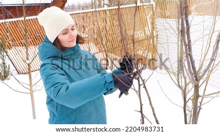 Pruning tree branches in the orchard in winter. A woman in gloves cuts unnecessary branches from a fruit tree in the cold season. Garden care in winter concept. Royalty-Free Stock Photo #2204983731