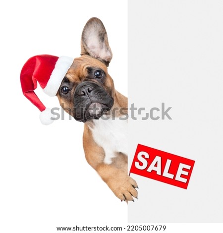 french bulldog puppy wearing red christmas hat shows signboard with labeled "sale" and looks from behind empty white banner. isolated on white background