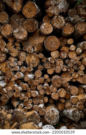 Dry chopped, sawn wooden logs wooden pole texture, lumber or timber industry concept