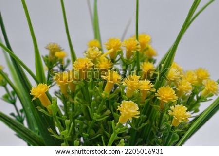 Plastic yellow flowers in pots home decoration isolated on white background. close up