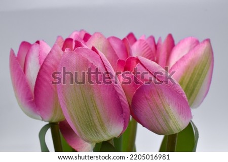 Close up, Plastic pink tulip flowers in glass vase isolated on white background, floral decoration