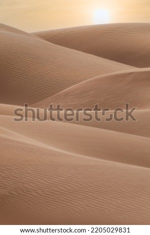 Sunset in Arabian Desert, Dunes, United Arab Emirates, Dubai Desert, Dubai Royalty-Free Stock Photo #2205029831