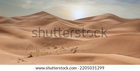 Wide Panorama of desert dunes, Dubai desert, UAE, Dubai, Sunset Desert Royalty-Free Stock Photo #2205031299