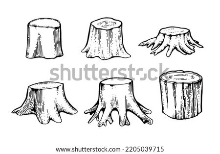 Set of Wooden stump. Remaining tree with roots. Forest or garden plant. Hand drawn outline sketch. Isolated on white background. Vector. Royalty-Free Stock Photo #2205039715