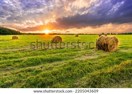 Scenic view at beautiful spring sunset in a green shiny field with green grass and golden sun rays, deep blue cloudy sky on a background , forest and country road, summer valley landscape