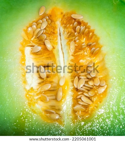 Fresh melon slice with seed close up. Healthy eating and dieting food concept. Cantaloupe fruit composition and design element. Top view, flat lay