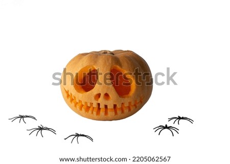 halloween pumpkin whit spiders isolated on white background