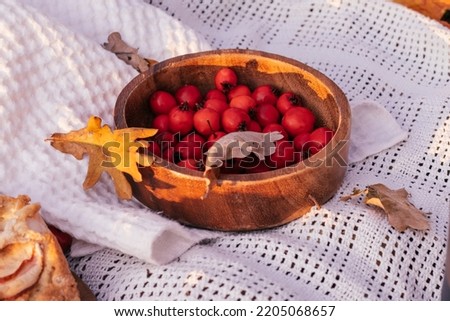 Wooden bowl with bright red ripe hawthorn berries on beige knitted plaid with yellow fallen autumn oak leaves Royalty-Free Stock Photo #2205068657