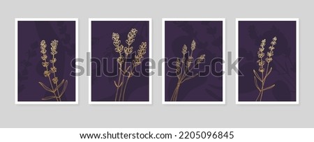 Set of Abstract Lavender Hand Painted Illustrations for Wall Decoration, minimalist flower in sketch style. Postcard, Social Media Banner, Brochure Cover Design Background. Modern Abstract Painting.