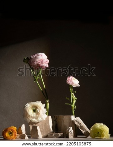Flower art photography for still art photography