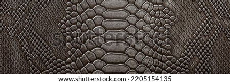Beautiful dark gray python skin, reptile skin texture, snake skin close-up as a background. Royalty-Free Stock Photo #2205154135