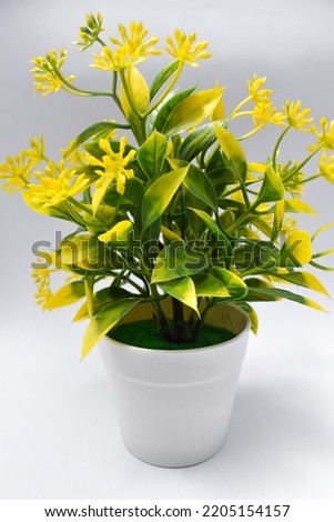 Plastic yellow flowers in pots home decoration isolated on white background