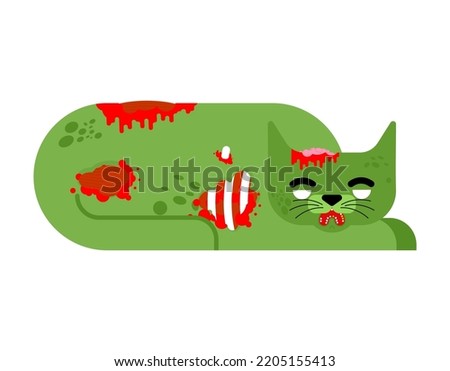 Zombie cat isolated. Zombi pet. Vector illustration