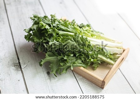 Chicory greens, fresh leaves of chicories on wooden table. Royalty-Free Stock Photo #2205188575