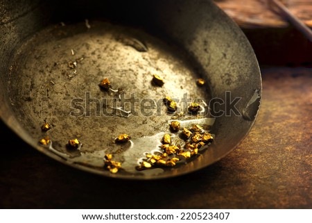 Finding gold. gold panning or digging. Gold on wash pan. Royalty-Free Stock Photo #220523407