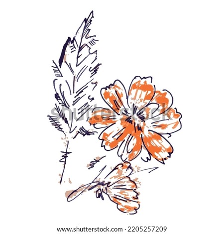 Orange flowers drawn by hand, black brush, lines.Imprint. Autumn abstract art isolated on white background Royalty-Free Stock Photo #2205257209