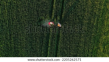 Top view of the two agronomists walking through the professional ecological field exterior. Vegetable farm and modern business concept. Stock photo