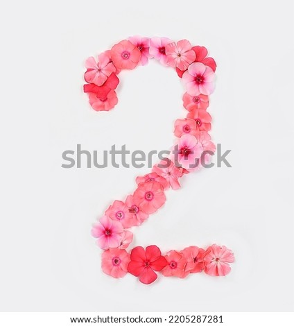 Number 2 made from real fresh flowers. Floral font concept, alphabet. Unique collection of letters and numbers for design. Spring, summer, autumn and valentines, creative idea, selective focus