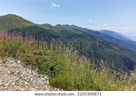 Amazing Summer landscape of Belasitsa Mountain, Blagoevgrad Region, Bulgaria