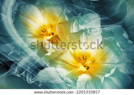 Yellow tulips. Floral background. Flowers in curls of smoke. Close-up. Nature. Royalty-Free Stock Photo #2205333857