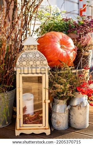 Seasonal home garden autumn decoration with heather, flower pot, pumpkin and lantern with candle illuminated.Autumn veranda or patio with pumpkins, lights and dried leaves