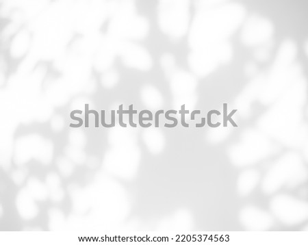 Blur Overlay Shadow Leaves Background,Abstract Sunlight effect Nature on Gray Cement Backdrop,Mock Up Display Free Space for add Products presentation,Structure Concrete Material Floor Construction.