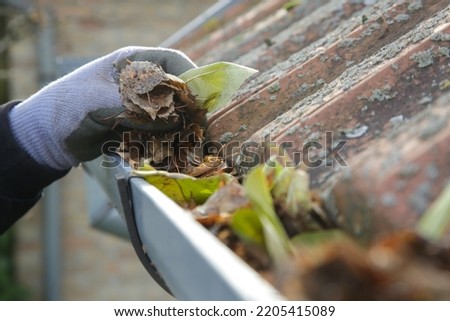 Cleaning the gutter from autumn leaves before winter season. Roof gutter cleaning process.	 Royalty-Free Stock Photo #2205415089