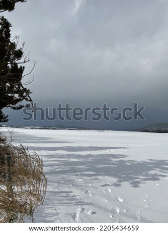 a shadow cast over a snowy landscape