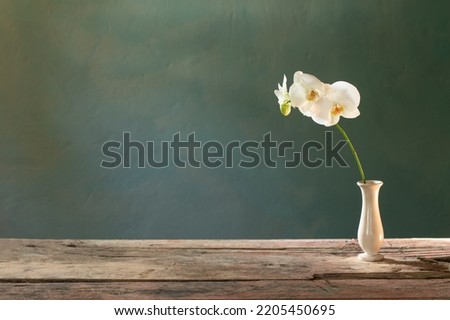 orchid flowers in vase on blue background