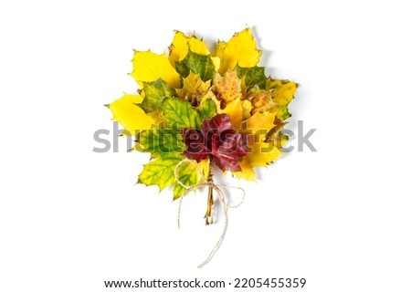 bouquet of colorful autumn maple leaves on white background. Flat lay, top view, copy space