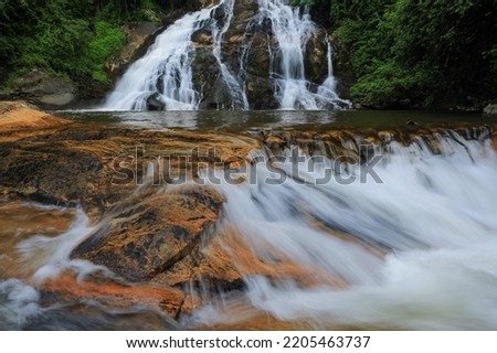 Debengeni Falls with main waterfall, small dam and runoff in the forest, Magoebaskloof, South Africa Royalty-Free Stock Photo #2205463737