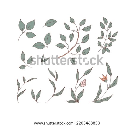 Set of flat floral leaves. Retro icons clip art with botanical elements. Vintage in hand drawn style. Vector illustration isolated on white background. 