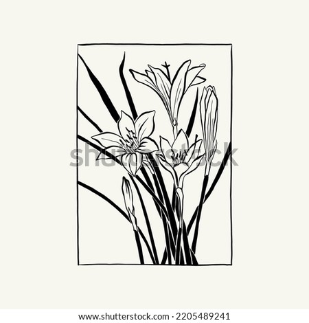 Flowers, Botanica illustration. Black ink, line, doodle style. 