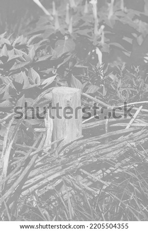 Rustic pastoral tree stump fence standing in the meadow in a faded black and white monochrome.