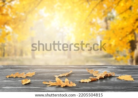 Dark wooden table with fallen leaves in autumn park