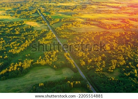 Highway through forest with pine trees, aerial view. Road with forest trees and car. Forest road for transpotrs. Aerial above view of freeway. Asphalt road in forests on sunset, top view. Royalty-Free Stock Photo #2205514881