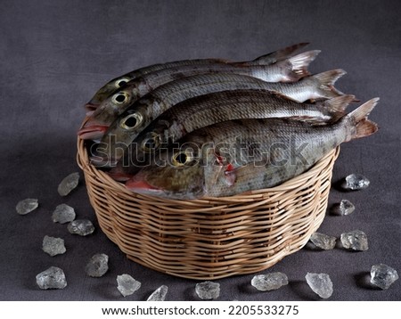 Fresh "Belacung" Fish in rattan basket with ice shards on dark grey background. Lethrinus. Lethrinus Rubrioperculatus. Lethrinus Onartus. Lethrinus Olivaceus. Raw Food. Protein. Aceh. Indonesia.  Royalty-Free Stock Photo #2205533275