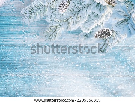 Original beautiful background image for creative work on New Year theme - fir branches covered with hoarfrost against background of surface of wooden boards powdered with snow in blue tones.