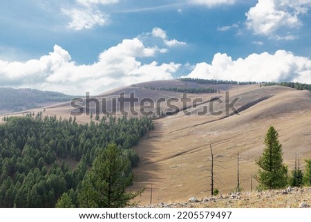Meadows and Blue Skies in Mongolia