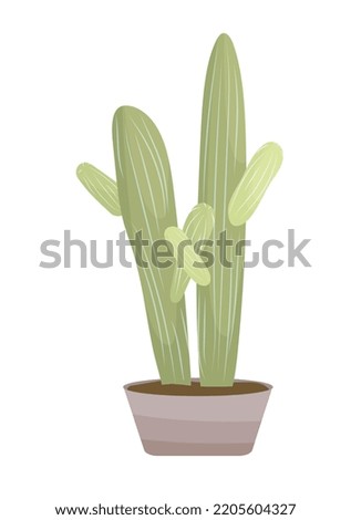 Cacti in pot Light green houseplants in neutral color palette Flat cartoon style vector illustration isolated on white background