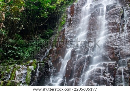 A waterfall with a stone wall in the background in the depths of the forest