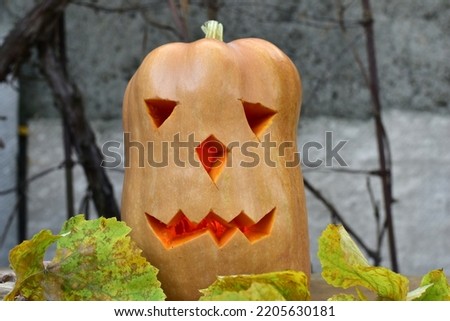 The picture shows an evil spirit for Halloween, created from a pumpkin, which had eyes and an evil mouth cut out and placed on leaves.
