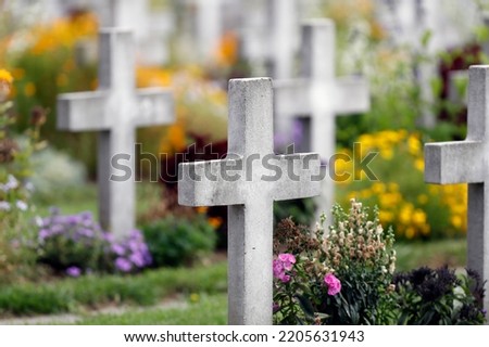 All Saints Day in a cemetery. Military cemetery. Second World War II.  Annecy. France.  Royalty-Free Stock Photo #2205631943