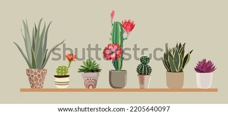 Potted cactus plants set. Interior houseplants in planters, flowerpots. Home indoor green decor. Different succulents, cacti. Flat graphic vector realistic illustrations isolated on neutral background Royalty-Free Stock Photo #2205640097