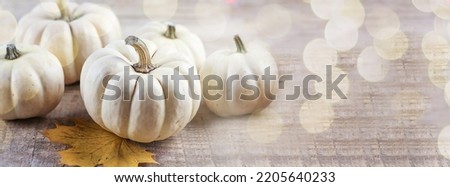 Pumpkin white on a wooden background. Pumpkins. bokeh. Thanksgiving Day. Banner. copy space