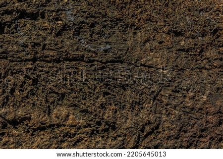 texture of a stone close up
